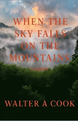 Walter A Cook, Walter A. Cook - When the Sky Falls on the Mountains, Häftad