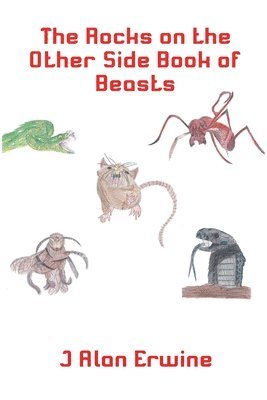 J Alan Erwine - Rocks on the Other Side Book of Beasts, Häftad