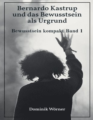 Dominik Wörner - Bernardo Kastrup und das Bewusstsein als Urgrund, Häftad