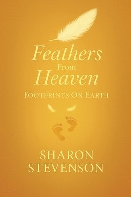 Feathers From Heaven Footprints On Earth