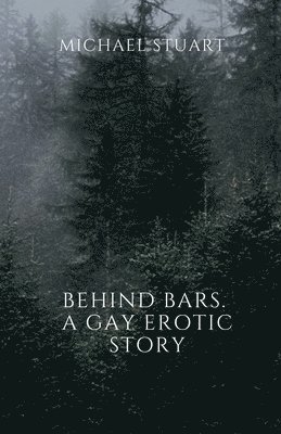 Behind Bars. A Gay Erotic Story