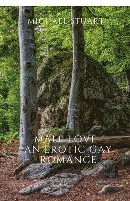 Male Love. An Erotic Gay Romance