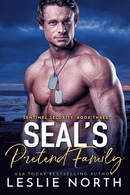 SEAL's Pretend Family