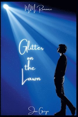 bokomslag Glitter On The Lawn