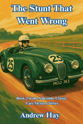 Stunt That Went Wrong