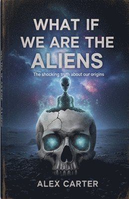 What If We Are The Aliens?