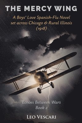 Mercy Wing - A Boys' Love Spanish-Flu Novel set across Chicago & Rural Illinois (1918)