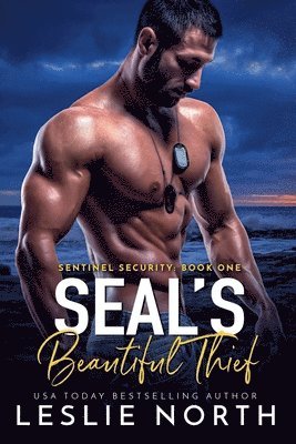 SEAL's Beautiful Thief