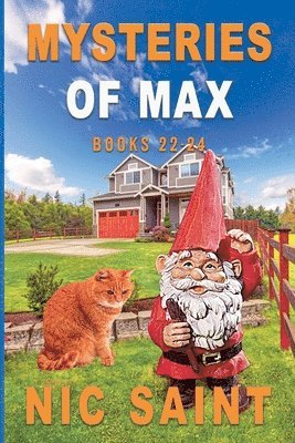 Mysteries of Max