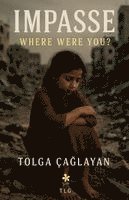 Tolga Caglayan, TOLGA CAGLAYAN - İmpasse - Where Were You?, Häftad
