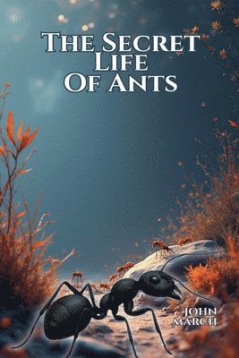 Secret Life of Ants