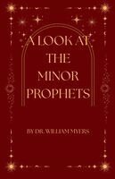 William Myers - Look at the Minor Prophets, Häftad
