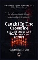 Gew Intelligence Unit - Caught In The Crossfire, Häftad