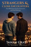 Strangers & Chance Encounters - Five MM Stories of Chance Encounters and Fated Meetings