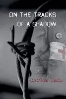 On the tracks of a shadow