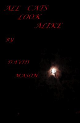 David Mason - All Cats Look Alike., Häftad