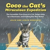 Julio Gonzalez - Coco the Cat's Miraculous Expedition, Häftad