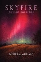 Dustin M Williams - Skyfire, Häftad