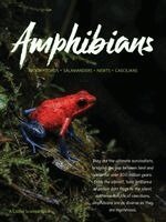 Scott Robinson - Amphibians, Häftad