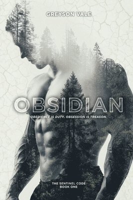 Obsidian