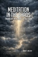 Meditation In The Chaos