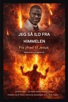 Isa El-Buba, Ambassador O Ogbe - Jeg så ild fra himmelen, Häftad