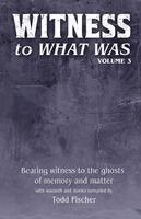 Todd Fischer - WITNESS to What Was, Häftad