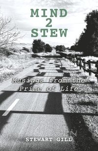 bokomslag Mind2stew: Musings from the Prime of Life