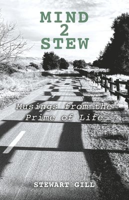 bokomslag Mind2stew: Musings from the Prime of Life