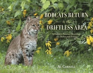 bokomslag Bobcats Return to the Driftless Area