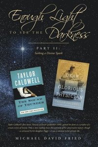 bokomslag Enough Light to See the Darkness:: Part II: Seeking a Divine Spark