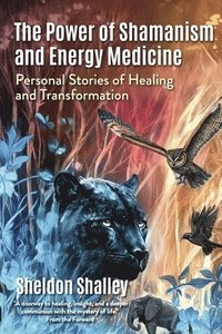bokomslag The Power of Shamanism and Energy Medicine: Personal Stories of Healing and Transformation