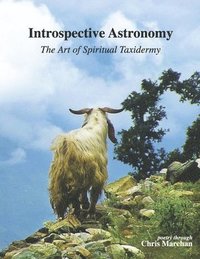 bokomslag Introspective Astronomy: The Art of Spiritual Taxidermy