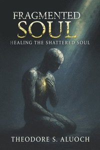 bokomslag Fragmented Souls: Healing the Shattered Soul