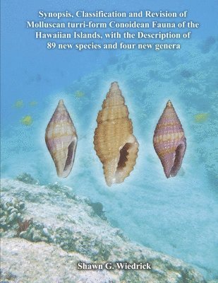 bokomslag Synopsis, Classification and Revision of Molluscan Turri-Form Conoidean Fauna of the Hawaiian Islands, with the Description of 89 New Species and Four