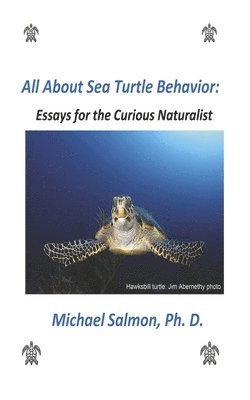 bokomslag All about Sea Turtle Behavior: Essays for the Curious Naturalist