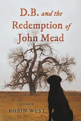 Robin West - D.B. and the Redemption of John Mead, Häftad