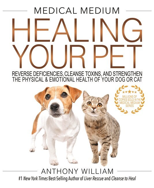 Anthony William - Medical Medium Healing Your Pet, Inbunden