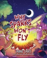 Janine Santé - Why Sparks Won't Fly, Häftad