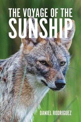 Daniel Rodriguez - Voyage of the Sunship, Häftad