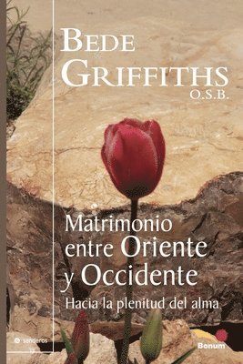 Bede Griffiths - Matrimonio entre Oriente y Occidente, Häftad