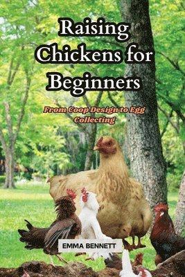 bokomslag Raising Chicken for Beginners