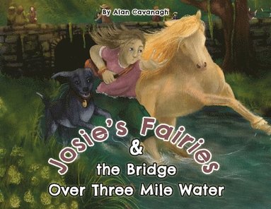 bokomslag Josie's Fairies And the Bridge Over Three Mile Water