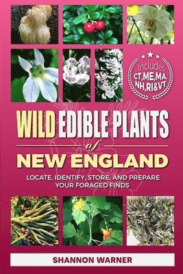 bokomslag Wild Edible Plants of New England