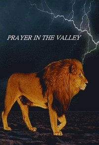bokomslag Prayer In The Valley