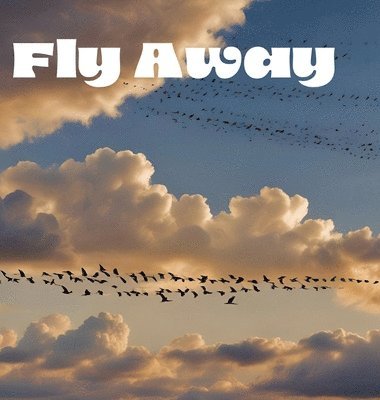 Fly Away 1