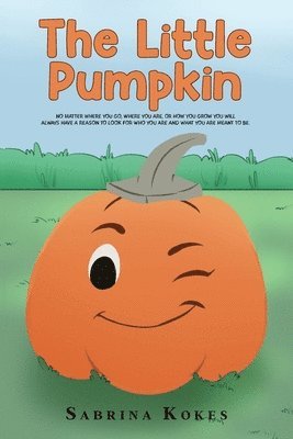 bokomslag Little Pumpkin