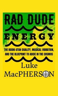 bokomslag Rad Dude Energy