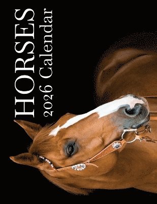 B Patrick, B. Patrick - Horses 2026 Calendar, Häftad