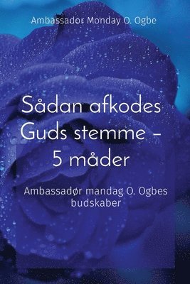 bokomslag Sdan afkodes Guds stemme - 5 mder